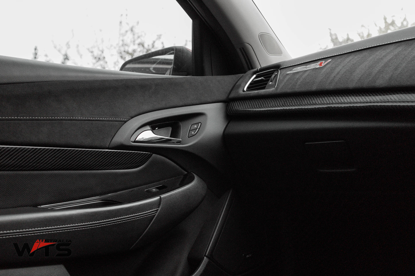 Carbon Fibre Interior Door Trim Strips For Holden VF HSV VF (No memory buttons version)